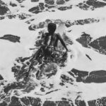 TIAGO ALEXANDRE SANTANA